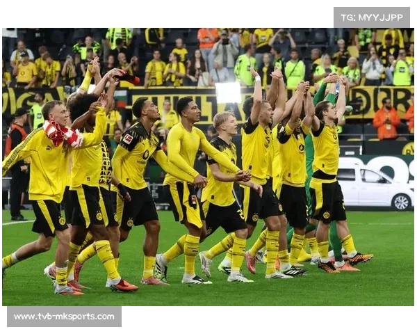 柏林联合铁血防守体系研究：场均犯规142次联赛第一